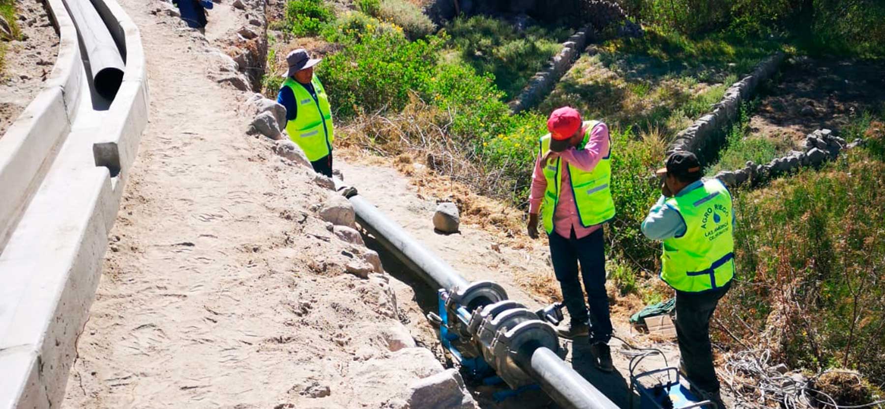 cuidado medio ambiente